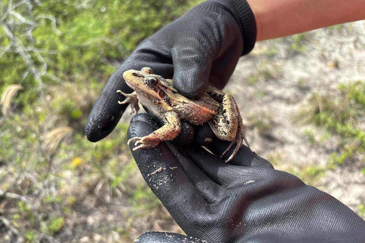 orla de Pontal do Paraná