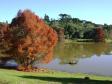 Jardins Botânicos do Brasil na Expo Londrina