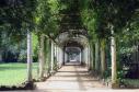 Jardins Botânicos do Brasil na Expo Londrina