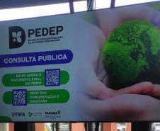 pedep 