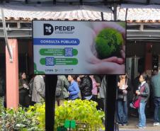 pedep 