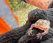 orla de Pontal do Paraná