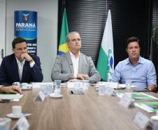 rio branco do ivai e candido abreu