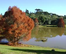 Jardins Botânicos do Brasil na Expo Londrina