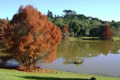 Jardins Botânicos do Brasil na Expo Londrina