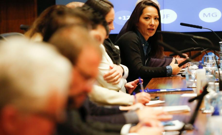 Reunião do Comitê público-privado de ESG do Paraná