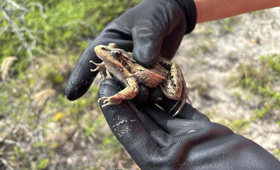 orla de Pontal do Paraná