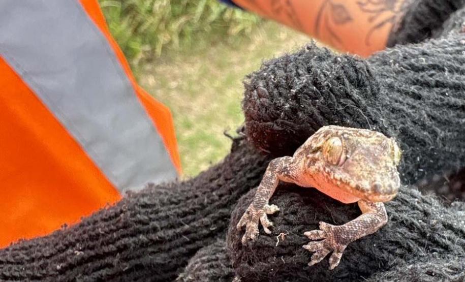 orla de Pontal do Paraná