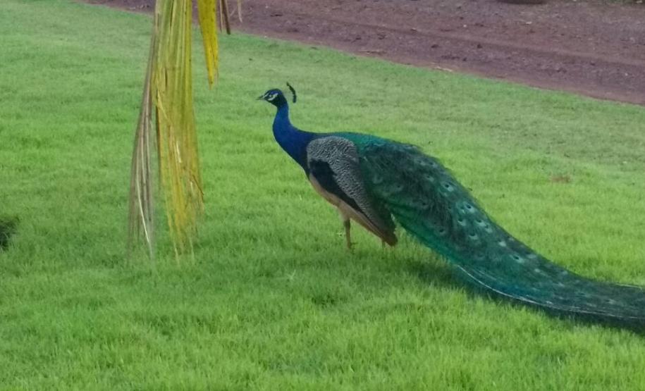 Oficina de Planejamento Estratégico Participativo em Sertaneja Oficina de Planejamento Estratégico Participativo em Sertaneja