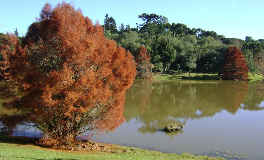 Jardins Botânicos do Brasil na Expo Londrina