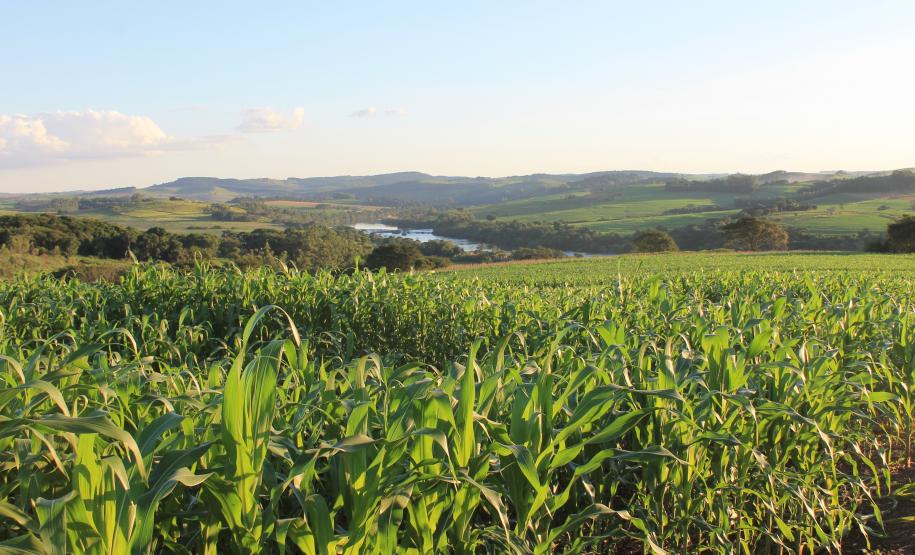 AS POTENCIALIDADES DO VALE DO IVAÍ