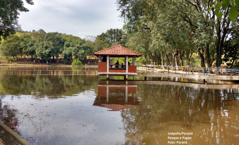 Represa Capivara e as riquezas do Norte do Paraná Represa Capivara e as riquezas do Norte do Paraná