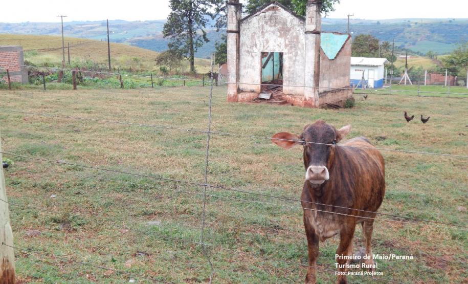 Represa Capivara e as riquezas do Norte do Paraná Represa Capivara e as riquezas do Norte do Paraná