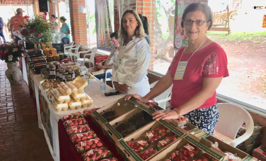 Paraná Projetos entrega plano de desenvolvimento do Vale do Ivaí.